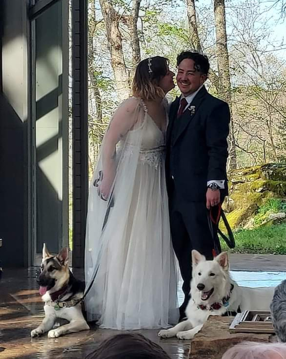 Wedding Couple with their Dogs